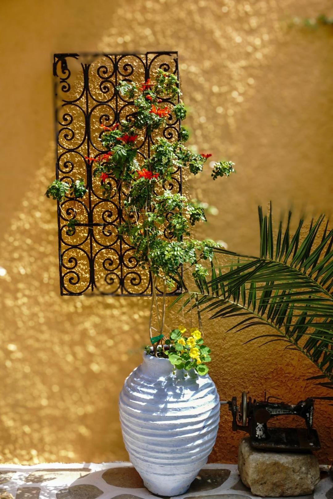 Vagia Traditional, Aegina Island Екстер'єр фото